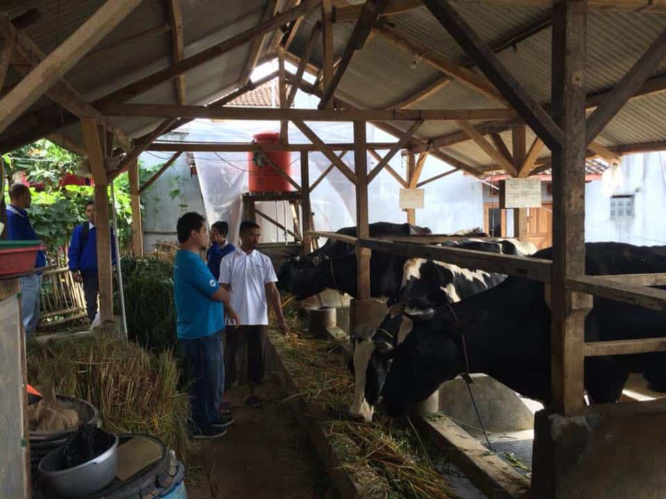 Paul in Indonesië, Farmer2Farmer